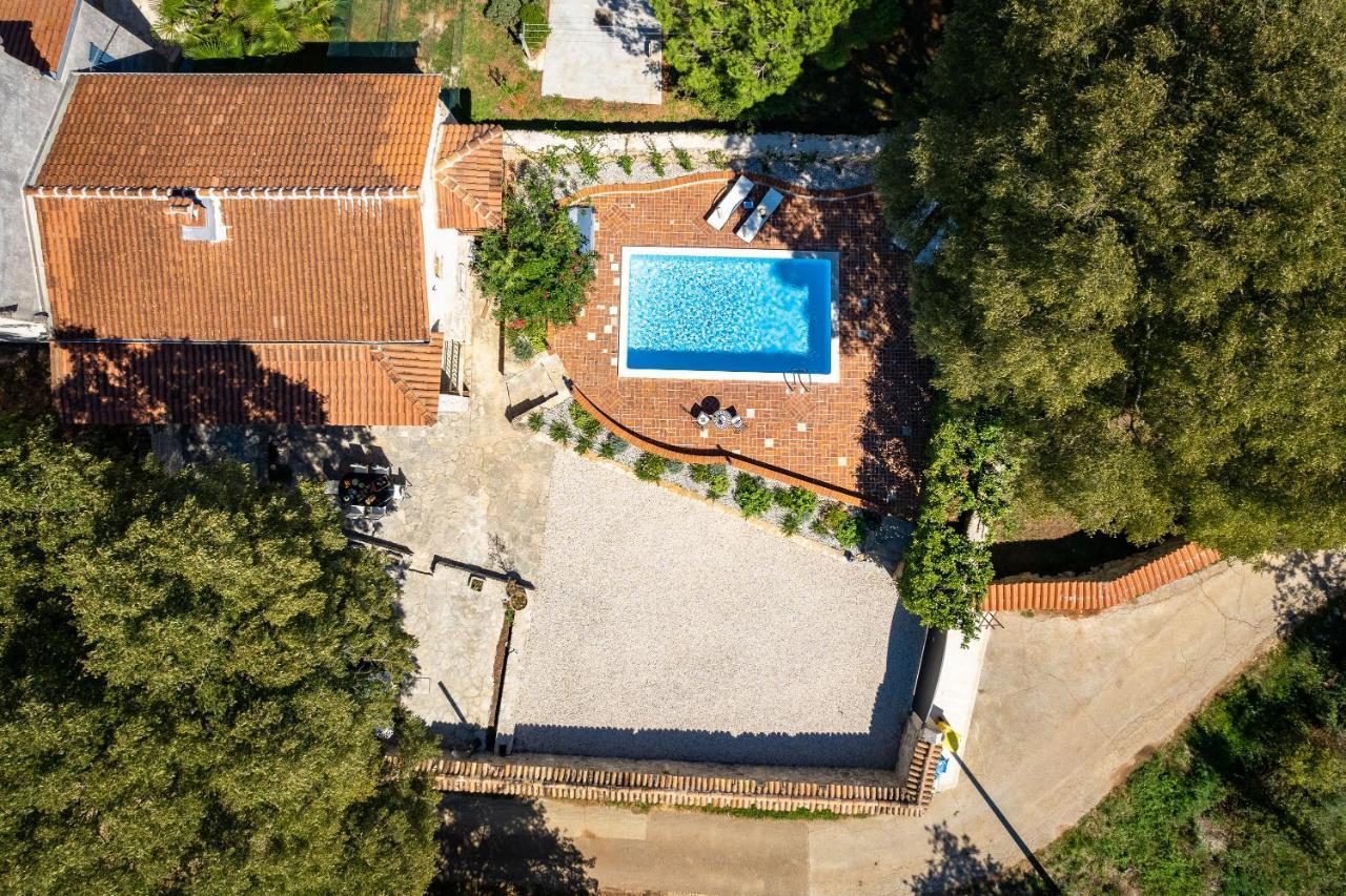Villa Arboretum Poreč Zewnętrze zdjęcie